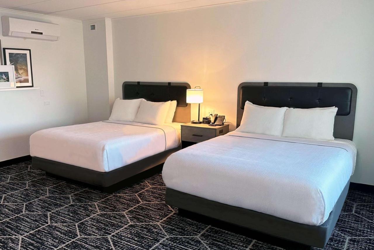 فندق La Quinta By Wyndham Chicago O'Hare Airport روزمونت المظهر الخارجي الصورة